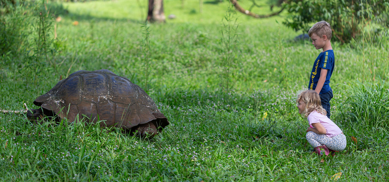 Children guests in Montemar observing a Giant Tortoise in its Natural Habitat