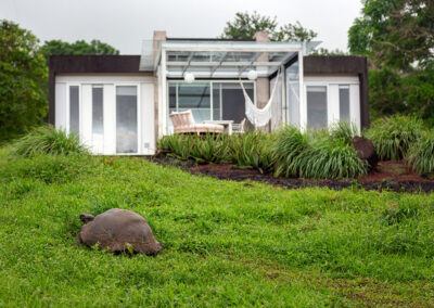 Top front view of Villa Lechuza, vegetation, grass, trees and a Galapagos Giant Tortoise passing