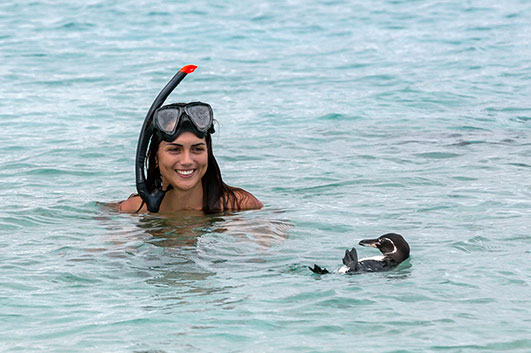 Snorkeling activity during the stay in Montemar Luxury Eco Villas