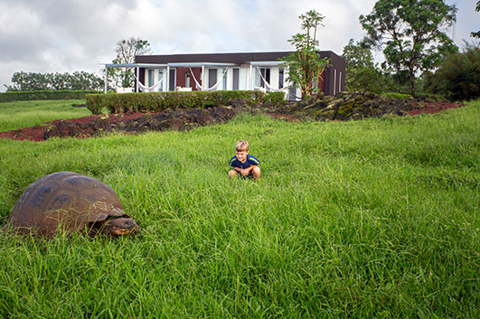 Child observe a Galapagos Giant Tortoise - Montemar was projected having their preservation and habitat in mind