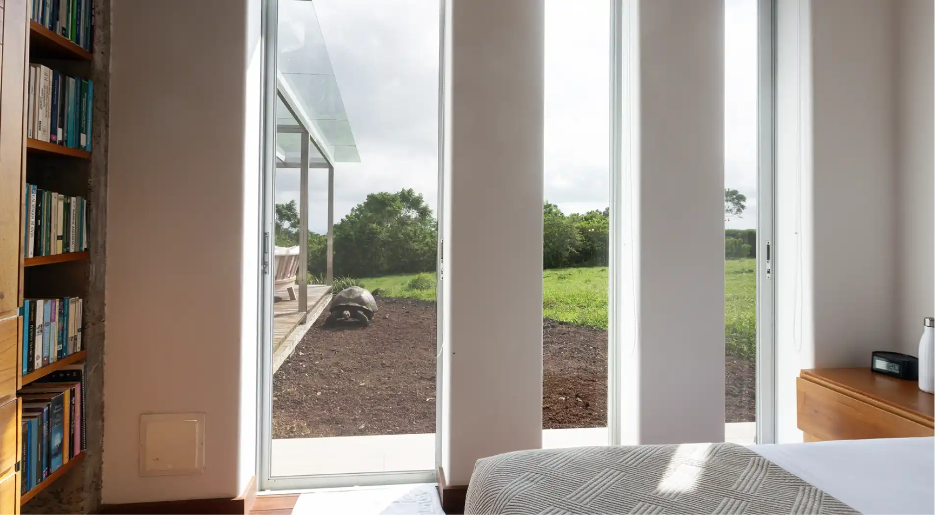 Interior con vista al jardín