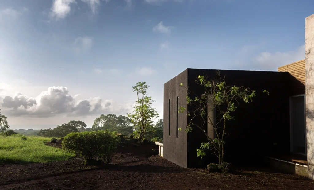 Casa moderna con vegetación