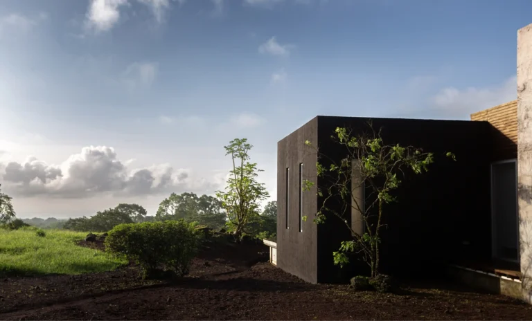 Casa moderna con vegetación