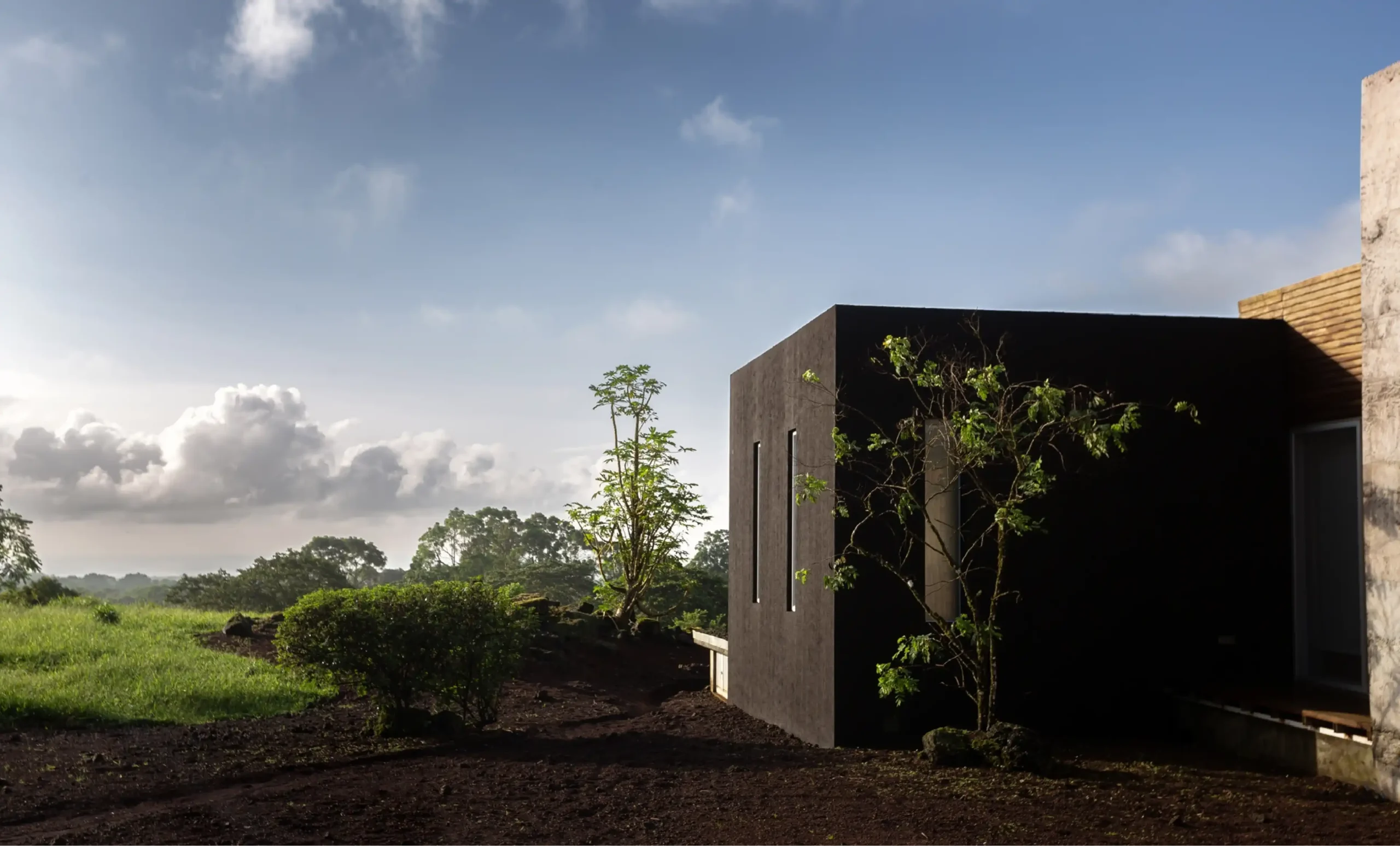 Casa moderna con vegetación