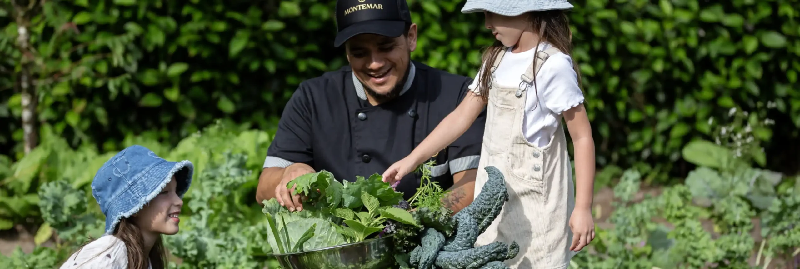 Recolectando vegetales orgánicos