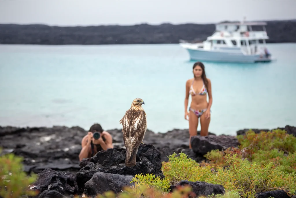 Mujer en playa con pajaros