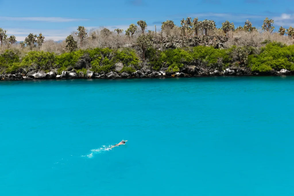 Persona nadando en mar turquesa