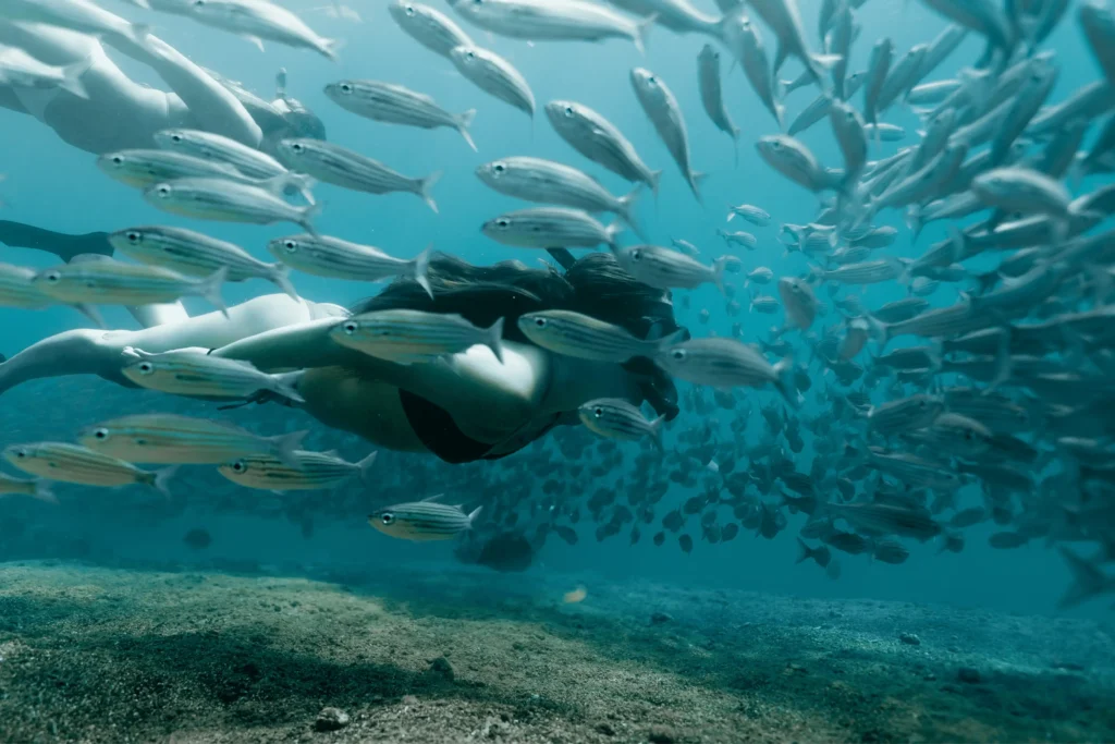 Banco de peces y mujer en el mar