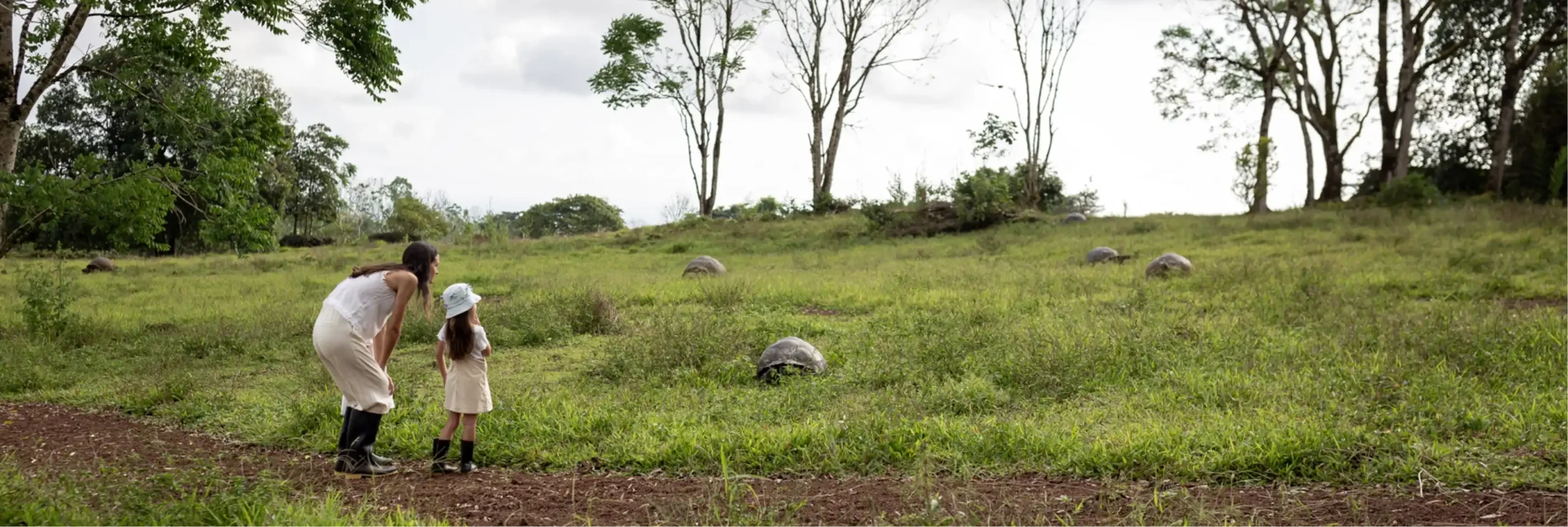 Paisaje de campo abierto