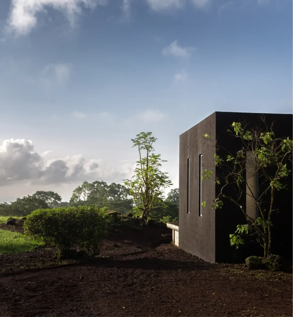 Casa moderna con árboles