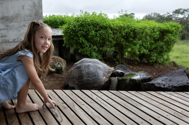 a little girl watching galapagos giant turtles
