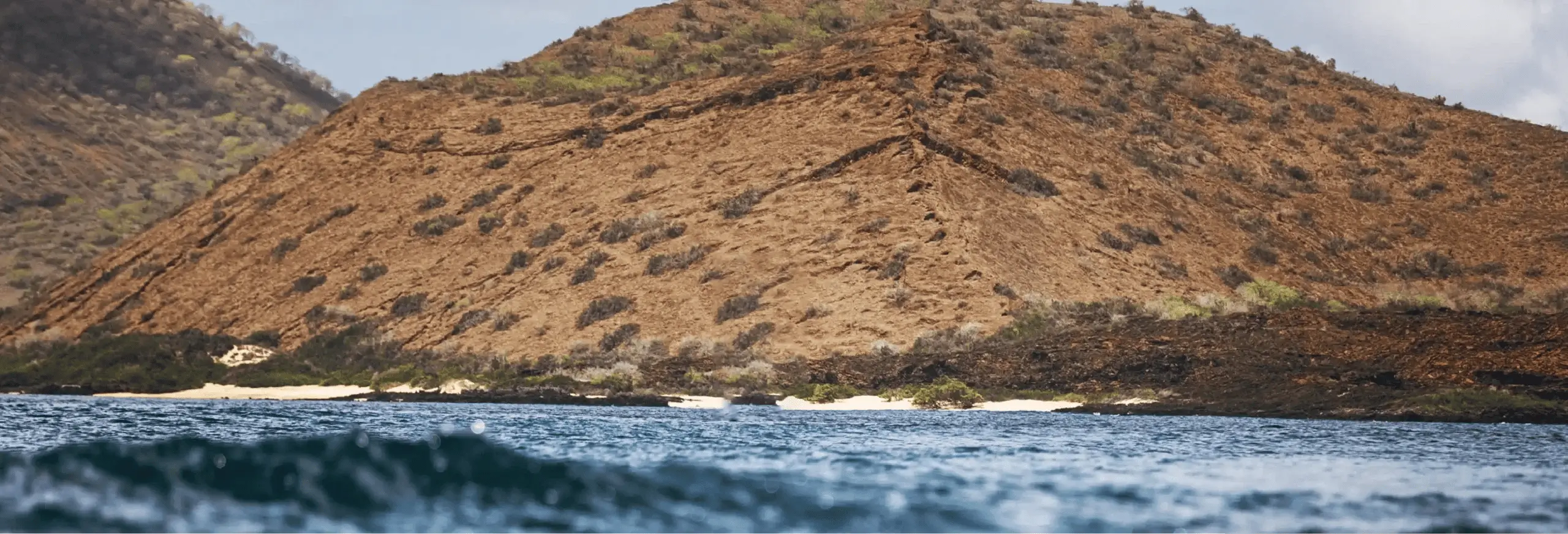 Volcanic coastal landscape with arid vegetation, Galapagos Islands